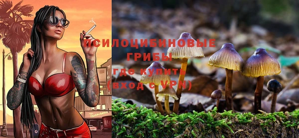 метамфетамин Ладушкин