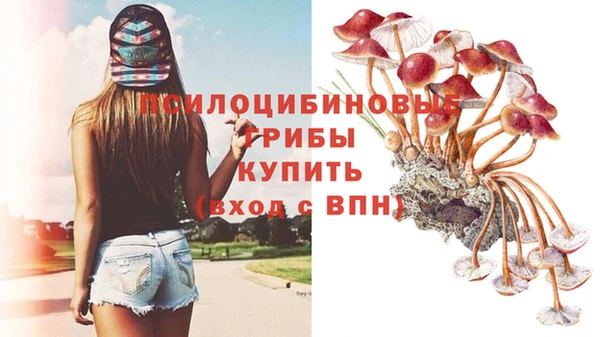 стафф Кукмор