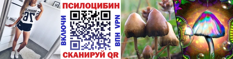 наркошоп  Наволоки  Галлюциногенные грибы прущие грибы 
